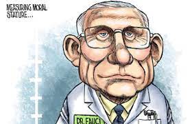 Fauci and gallo claimed that. Dr Fauci Stands Tall The Seattle Times