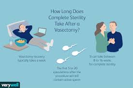 Changes to your vision or a severe headache (persistent). Sex After A Vasectomy Healing And Effectiveness