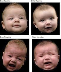 Full article: Maternal affect and quality of parenting experiences are  related to amygdala response to infant faces