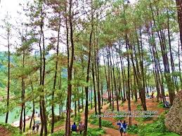 Waduk wonorejo selain sebagai reservoir juga menyediakan berbagai area wisata seru dan indah. Ranu Gumbolo Sensasi Pegunungan Di Pinggiran Kota Tulungagung Manusia Lembah