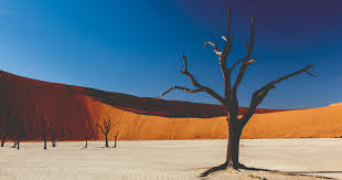 ✓ free for commercial use ✓ high quality images. Top 5 Deserts Of The World On The Go Tours Blog
