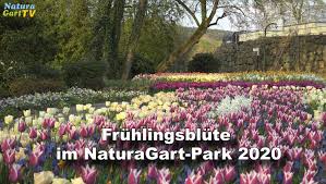 Da dieses land dadurch seine landwirtschaftliche nutzbarkeit verlor und die zunächst angepflanzten obstbäume nicht den. Naturagart Park Naturagart Park Teichpark In Ibbenburen