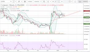 This includes the timeframe, open price, high price, low price, close price, and. Bitcoin Chart Poloniex Crypto Data Dump