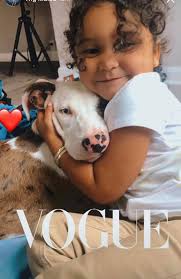 Lost Chihuahua named Bella in Laredo