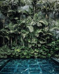 The Key To Landscaping Design Home Decor Garden Ideas In 2020 Tropical Garden Design Landscape Design Garden Landscape Design