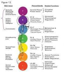 Here Is A Wonderful Chakra Correspondence Chart For You To