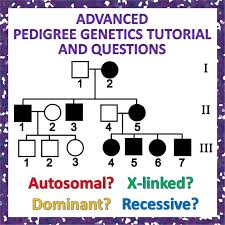 Pedigree Genetics Advanced Pedigree Tutorial And Question Packet Teaching Biology High School Science Genetics