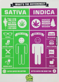 6 Charts Every Pot Lover Needs High Times