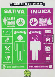 6 charts every pot lover needs high times