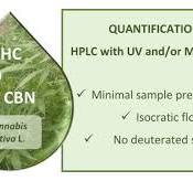 Full article: Cost-efficient analysis of cannabinoids in ...