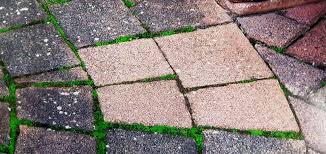 Warum Die Alten Hausmittel Mehr Schaden Als Nutzen Amp Wie Eine Reinigung Nicht Nur Die Optik Sondern Auch Die Haltb Pflaster Reinigen Pflastersteine Steine