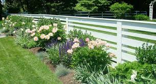 Architectural Elements And Large Plantings Are The Bones Which Define A Garden Structure In One Section Of My Garden Evergreen Plants Garden Garden Structures