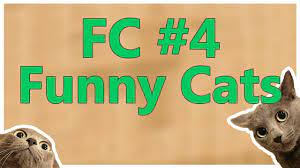 Funny Cats 4 Https Www Youtube Com Watch V 5wvex1zqhue Funny Cats Laughing Cat Funny Cat Videos