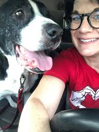 Had the pleasure of walking with Samson today, what a sweetheart! This  senior is a true gentleman and a rollie pollie(check the video)! Hope he  finds his forever home soon! ❤️