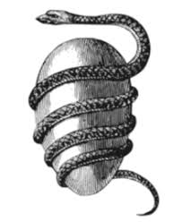 Image result for cosmic egg