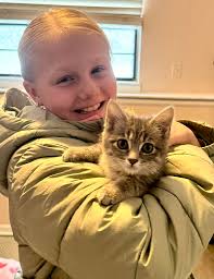 Kitty Cat Connection, Inc.