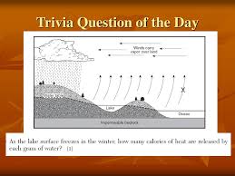 You can use this swimming information to make your own swimming trivia questions. Trivia Question Of The Day Ppt Download