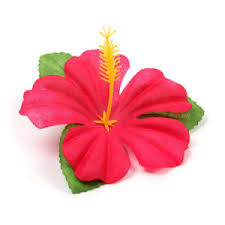 When you recognize the best ways to look after hibiscus plants, you will certainly be. Attractive Silk Hibiscus Flowers For Decorative Needs Alibaba Com