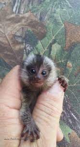 Pin On Cute