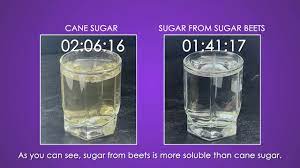 It requires multistep processing before it becomes the refined, granulated table sugar that we use most often. Sane Sugar Vs Beet Sugar Youtube