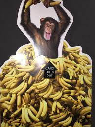 Bananas Monkeys Funny Funny Animals Banana