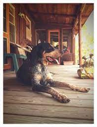 The same loosening occurs for the occasional kitchen. Steven Rozell Sdfro Profile Pinterest