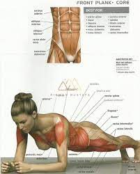 Plank selain menguatkan otot abdomen, senaman plank boleh mengurangkan risiko kecederaan di bahagian belakang dan tulang belakang (spine). Senaman Plank Untuk Kempiskan Perut Realiti Atau Fantasi Ridwan Mustafa
