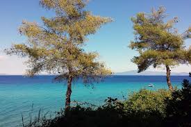 ✓ καιρικά φαινόμενα καταγράφηκαν κατά . O Kairos Shmera Sth Xalkidikh