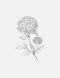 Hydrangea Line Art Framed Art Print By Gooseberry Moon Vector Black Medium Gallery 20x26 In 2020 Hydrangea Tattoo Geometric Line Tattoo Small Geometric Tattoo