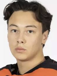 Ethan David Career Statistics