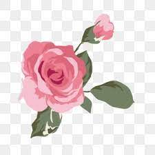 Nuit Rose Png Fond Png Telechargement Gratuit Nuit Fond Rose Contexte Image Png Pour Le Telechargement Libre Guirnaldas Florales Florecer Rosas
