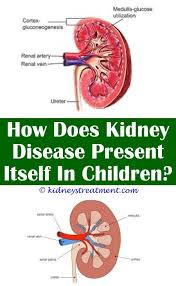 Chronic Kidney Disease Protein Kidney Disease Symptoms Chronic Kidney Disease Kidney Dialysis