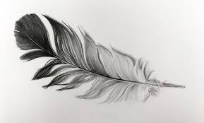 Collection by sandy clisso • last updated 4 weeks ago. How To Draw A Feather