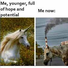 Unicorn And Great Value Unicorn Blank Template Imgflip