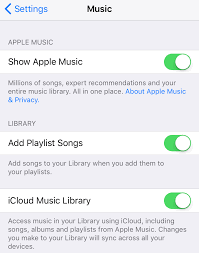 Apple Music Library Disappeared From Ipho Apple Community