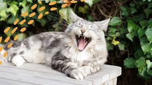 Conscious Copywriting : Finding the right words