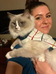 So happy to be a part of this group! I just wanted to showcase my handsome  boy, Winston, and this cute pet sweater I found in the AOS. (Don't worry, I  only