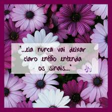 ela so quer paz projota projota frases frases mensagens