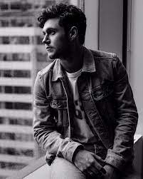 Hunk Looks Out Upon Radiant City Skyline Niall Horan Niall And Harry James Horan