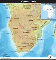 You can see how vast the kalahari desert is from the map as it dominates most parts of southern african countries on the west part of the continent. Kalahari Desert Archives Answers