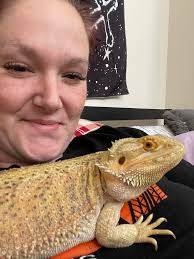 Bearded dragon safety around bug spray
