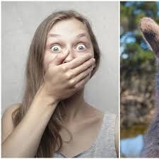 American woman has to change her name in Australia