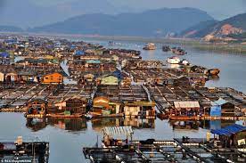 We did not find results for: China S Floating Fishing Cities Home To 7 000 Gypsies Of The Sea Floating City Floating Boat City