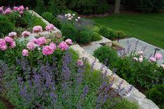 Carey Ezell Landscape Design Peonies With Cat Mint Landscape Design Tiered Garden Landscape Services