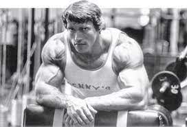 Arnold Schwarzenegger Net Worth Schwarzenegger Bodybuilding Arnold Schwarzenegger Bodybuilding Old Bodybuilder