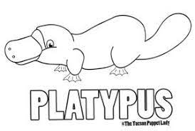 And has viewed by 410 users. Free Platypus Coloring Page The Tucson Puppet Lady