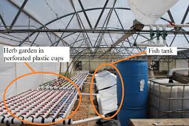 Build A Vertical Aquaponic Veggie Fish Farm For Small Yards Houses 8 Steps With Pictures Instructables