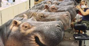 Based on the novel by michael crichton. Congo Behind The Scenes Creating Animatronic Gorilla Suits At Stan Winston Studio Stan Winston School Of Character Arts