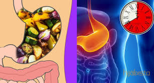 Maggi pedas giler 2x vs ghost pepper / raya 2019. Sebelum Berdiet Kena Tahu Berapa Lama Proses Makanan Dicerna Dalam Perut Jangan Biar Terus Jadi Lemak Hijabista