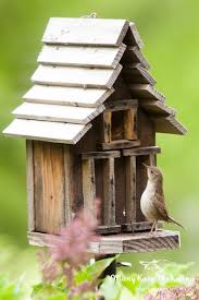 lovely bird box and mary kate mckenna photography nichoir abreuvoir oiseaux nichoir oiseau
